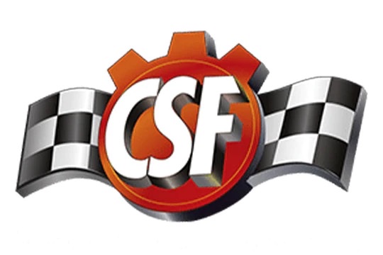 CSF